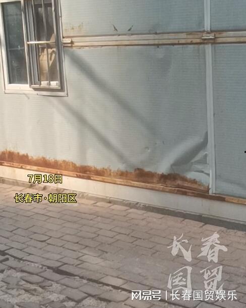 长春核酸爆料最新消息,揭秘病毒检测背后的故事